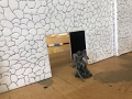 JessDaddyProject-III_Day1 (7)
